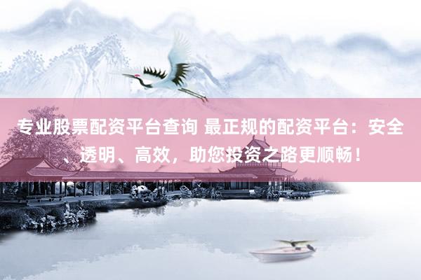 专业股票配资平台查询 最正规的配资平台：安全、透明、高效，助您投资之路更顺畅！