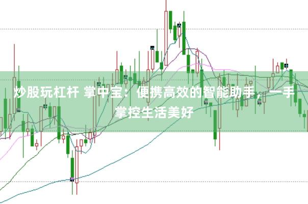 炒股玩杠杆 掌中宝：便携高效的智能助手，一手掌控生活美好