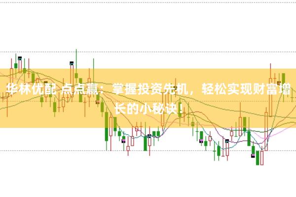 华林优配 点点赢：掌握投资先机，轻松实现财富增长的小秘诀！