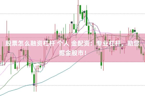 股票怎么融资杠杆 个人 金配资：专业杠杆，助您掘金股市！