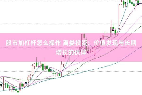 股市加杠杆怎么操作 离娄投资：价值发现与长期增长的伙伴