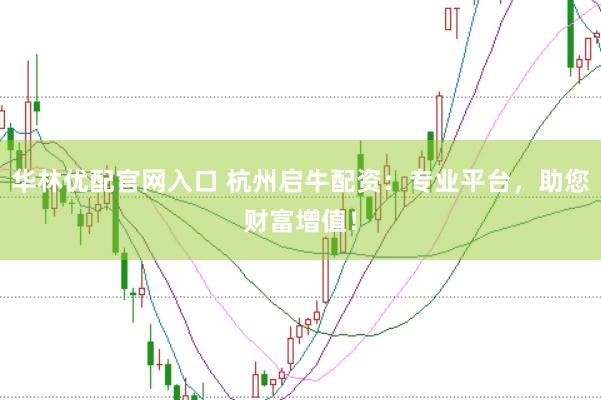 华林优配官网入口 杭州启牛配资：专业平台，助您财富增值！