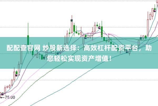 配配查官网 炒股新选择：高效杠杆配资平台，助您轻松实现资产增值！