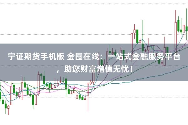 宁证期货手机版 金囤在线：一站式金融服务平台，助您财富增值无忧！