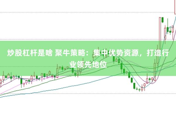 炒股杠杆是啥 聚牛策略：集中优势资源，打造行业领先地位