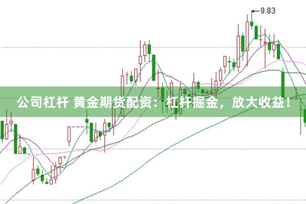 公司杠杆 黄金期货配资：杠杆掘金，放大收益！