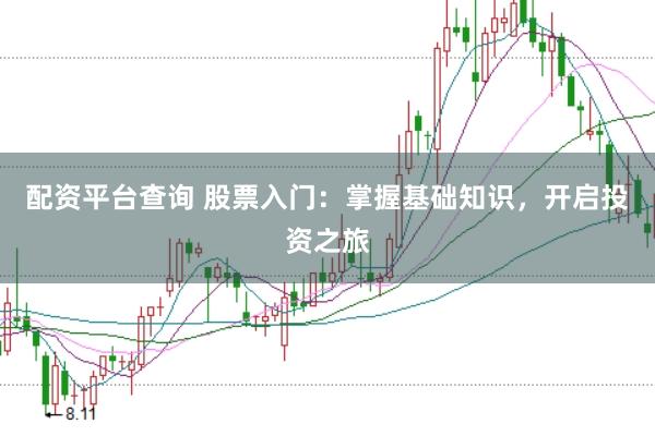 配资平台查询 股票入门：掌握基础知识，开启投资之旅