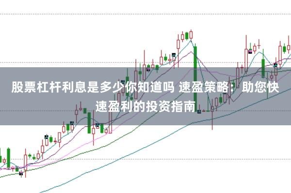 股票杠杆利息是多少你知道吗 速盈策略：助您快速盈利的投资指南