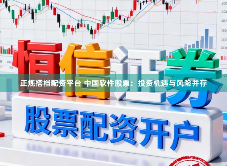 正规搭档配资平台 中国软件股票：投资机遇与风险并存