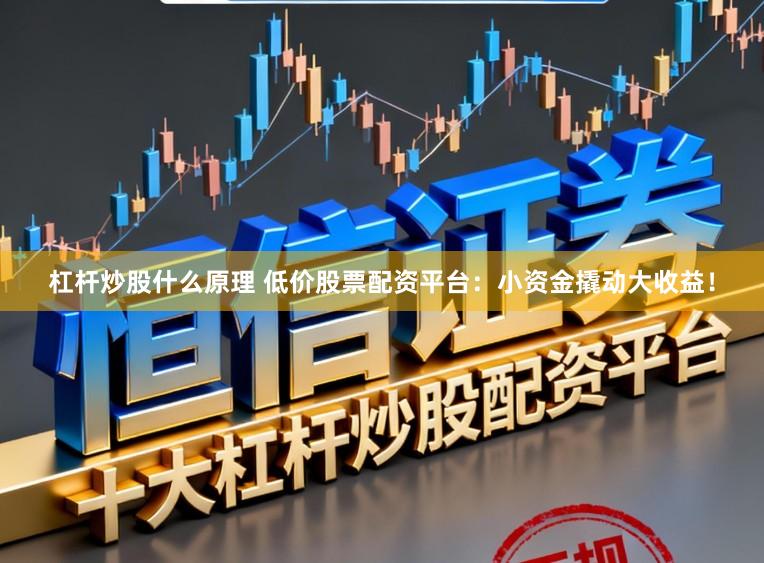 杠杆炒股什么原理 低价股票配资平台：小资金撬动大收益！