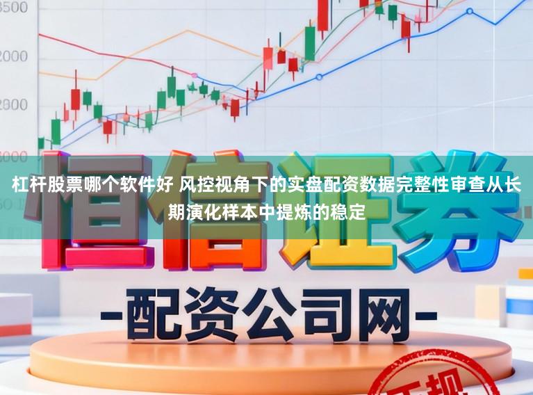 杠杆股票哪个软件好 风控视角下的实盘配资数据完整性审查从长期演化样本中提炼的稳定