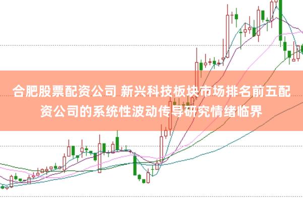 合肥股票配资公司 新兴科技板块市场排名前五配资公司的系统性波动传导研究情绪临界